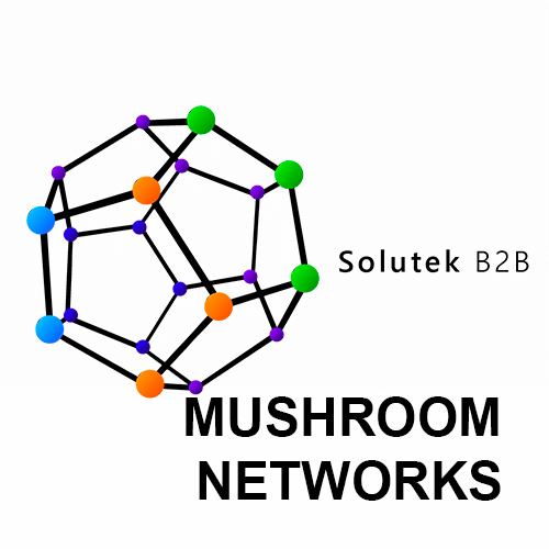 diagnóstico de firewalls Mushroom Networks