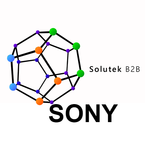 diagnostico de monitores industriales Sony